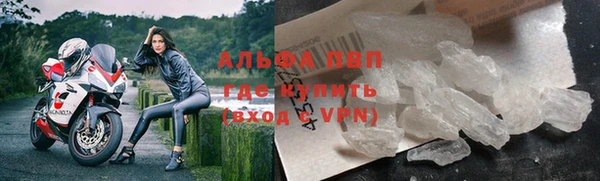 PSILOCYBIN Нязепетровск