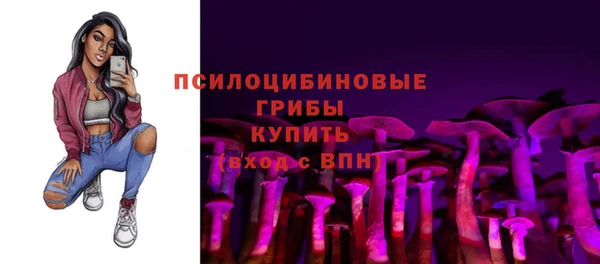 амф Магас