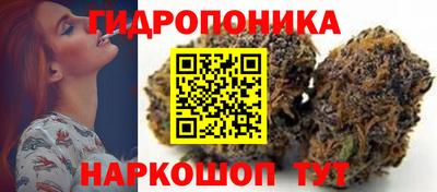 ALPHA PVP Камышлов