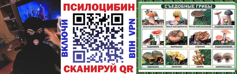 блэк спрут рабочий сайт  Кисловодск  Галлюциногенные грибы GOLDEN TEACHER 