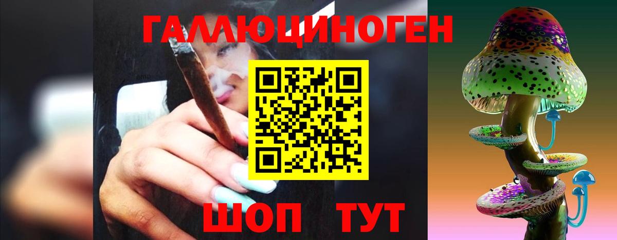 Галлюциногенные грибы Psilocybe  Кисловодск  Псилоцибиновые грибы Psilocybe 